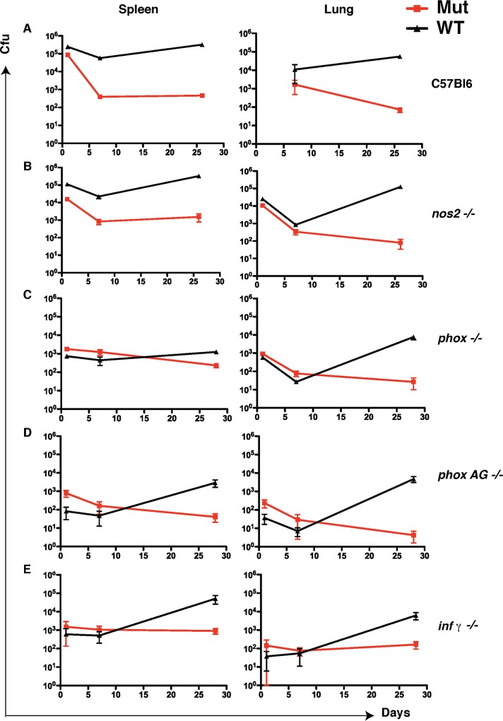 Fig 4