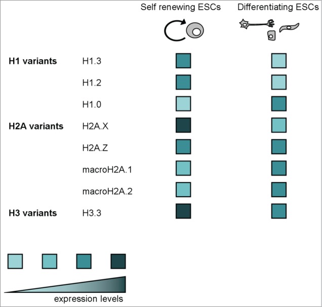 Figure 6.