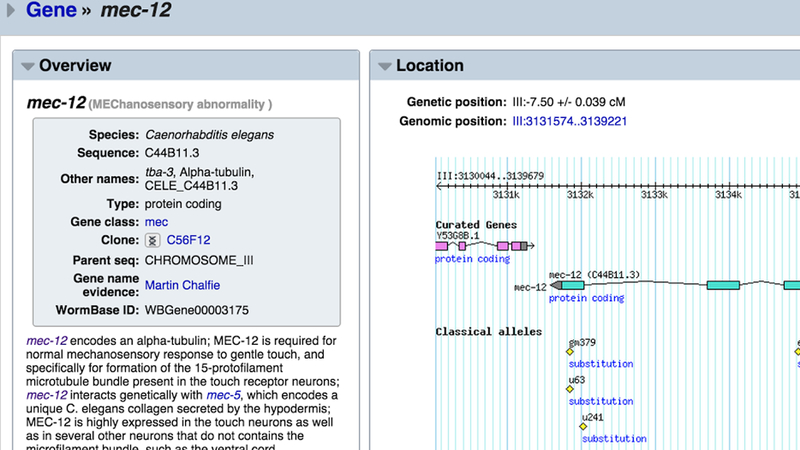 Figure 9.