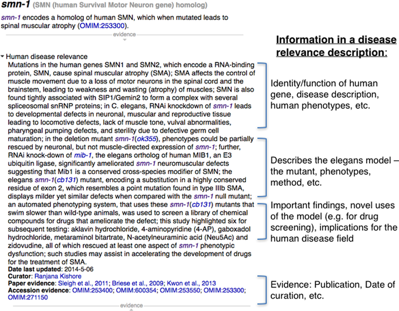 Figure 33.