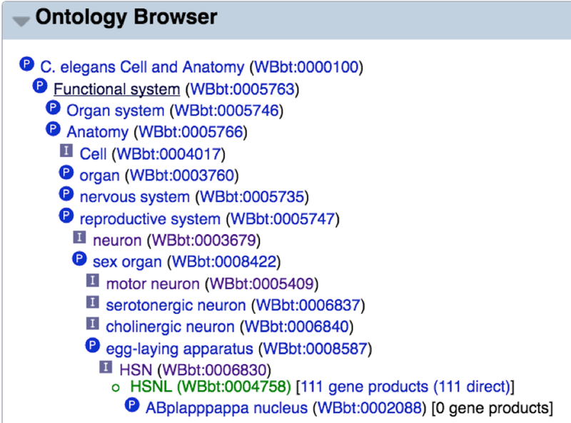 Figure 21.