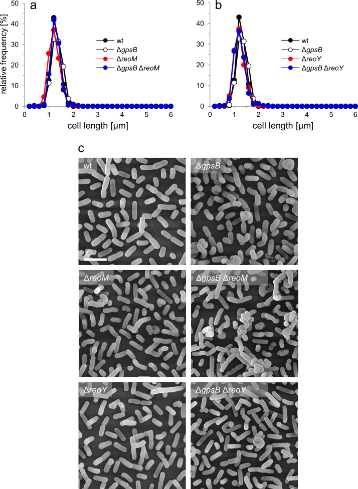 Figure 1—figure supplement 2.