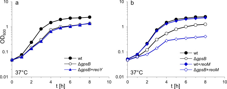 Figure 1—figure supplement 1.