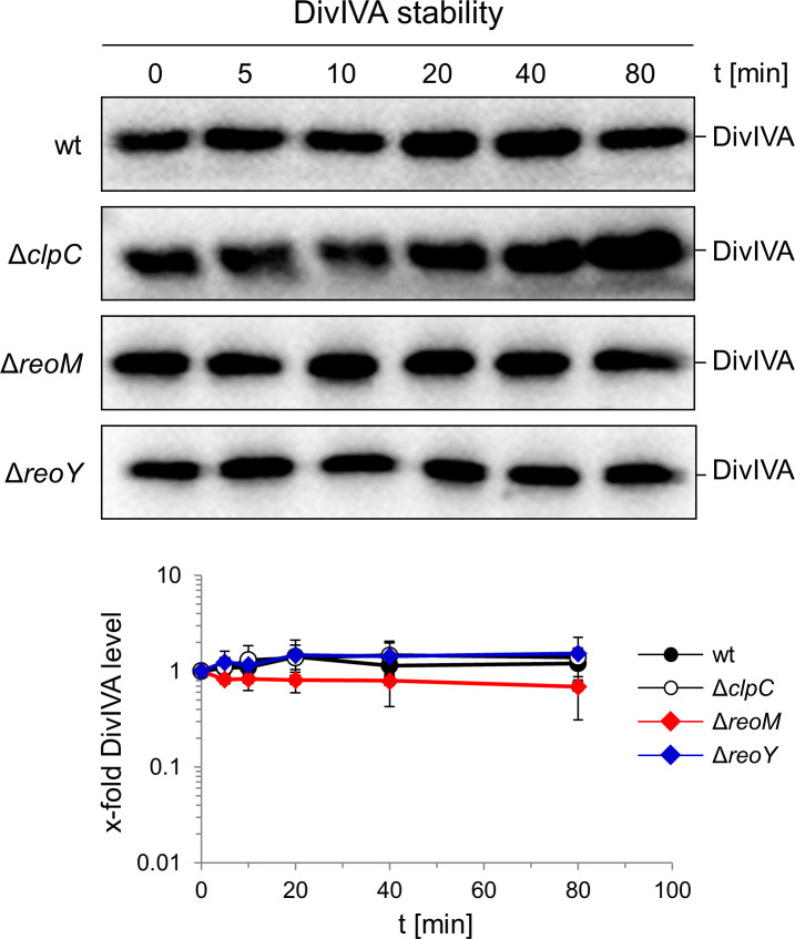 Figure 2—figure supplement 2.