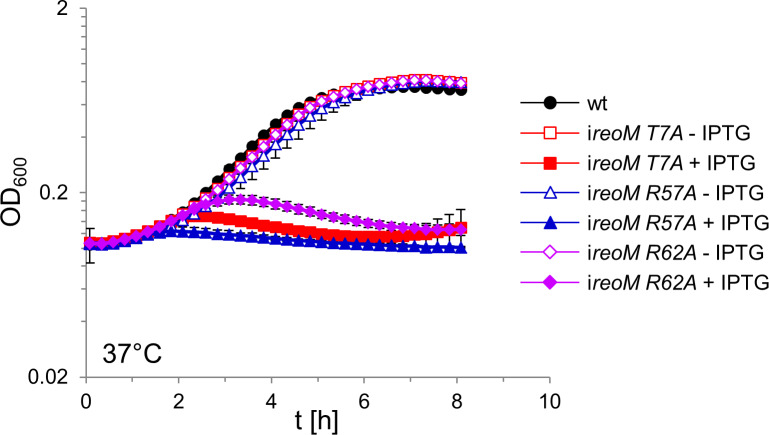 Figure 6—figure supplement 2.