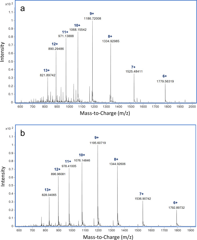 Figure 4—figure supplement 1.