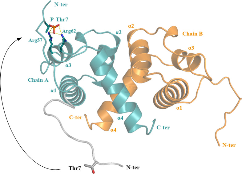 Figure 6—figure supplement 3.