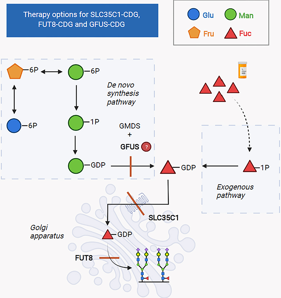 Fig 2: