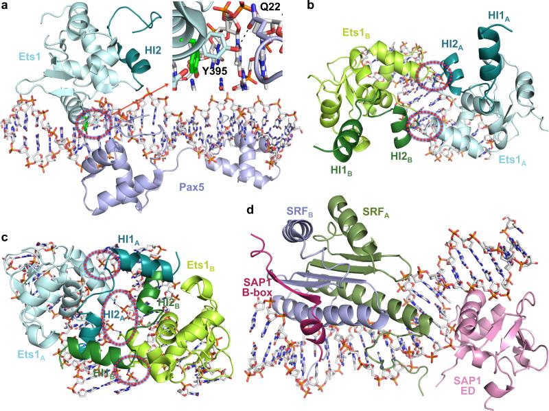 Figure 5