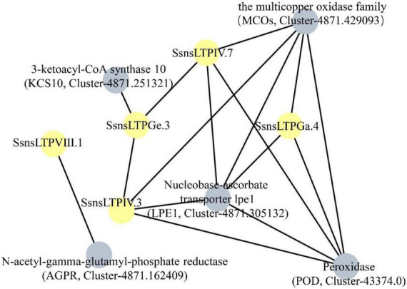 FIGURE 5