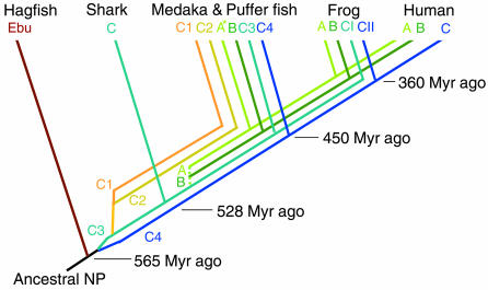 Fig. 8.