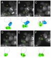 Fig. 4.