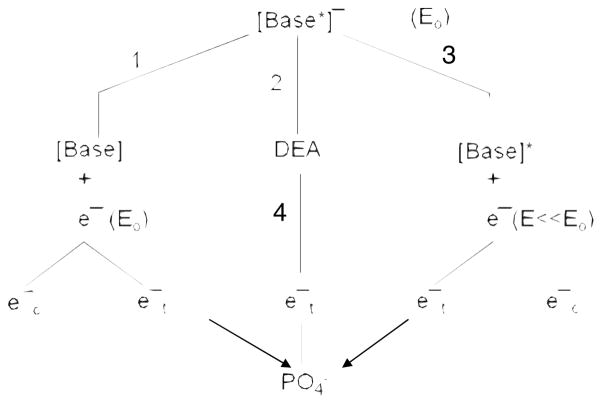 FIG. 6