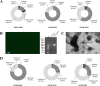 FIG 3