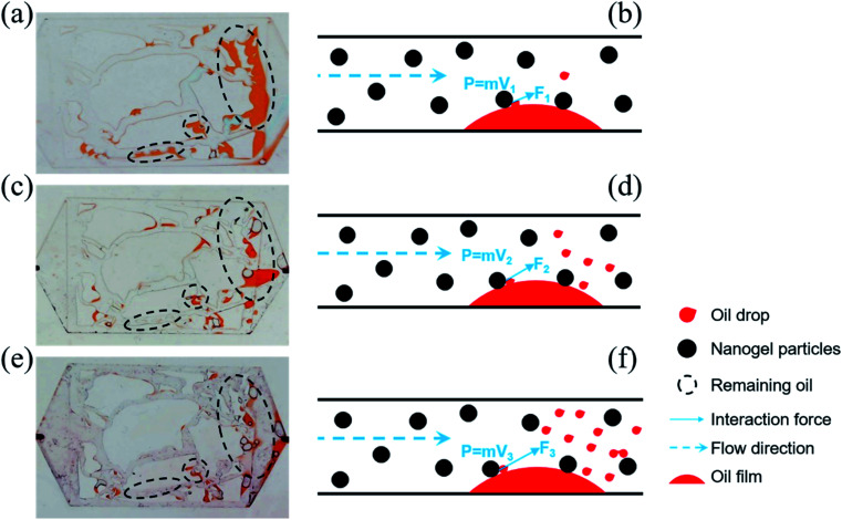 Fig. 10