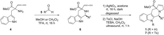 graphic file with name Beilstein_J_Org_Chem-08-1048-i001.jpg