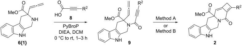 graphic file with name Beilstein_J_Org_Chem-08-1048-i018.jpg