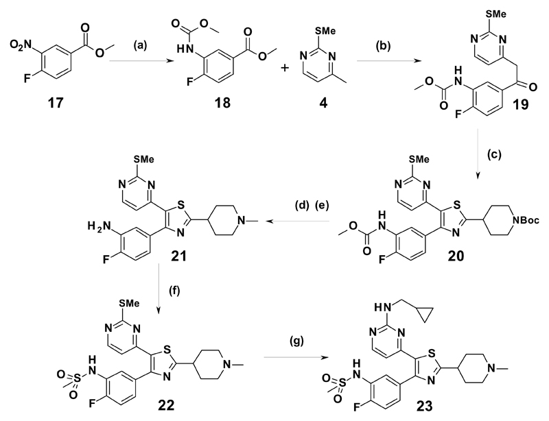 Scheme 3