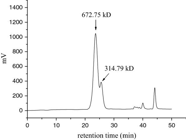 Fig. 3