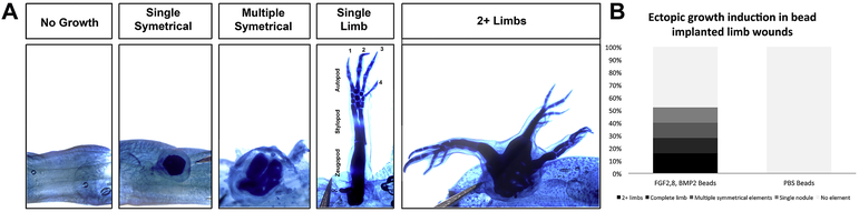 Figure 5: