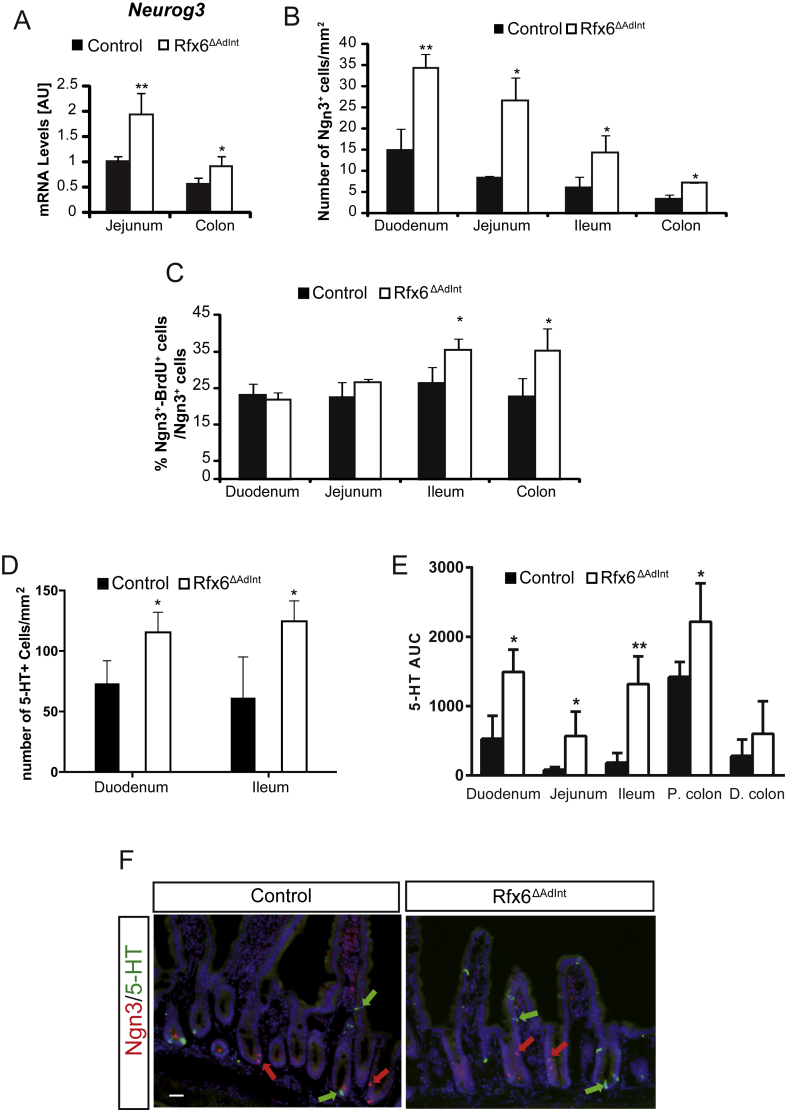 Figure 5