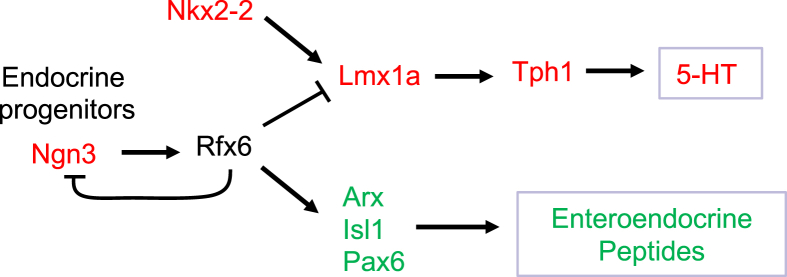 Figure 7