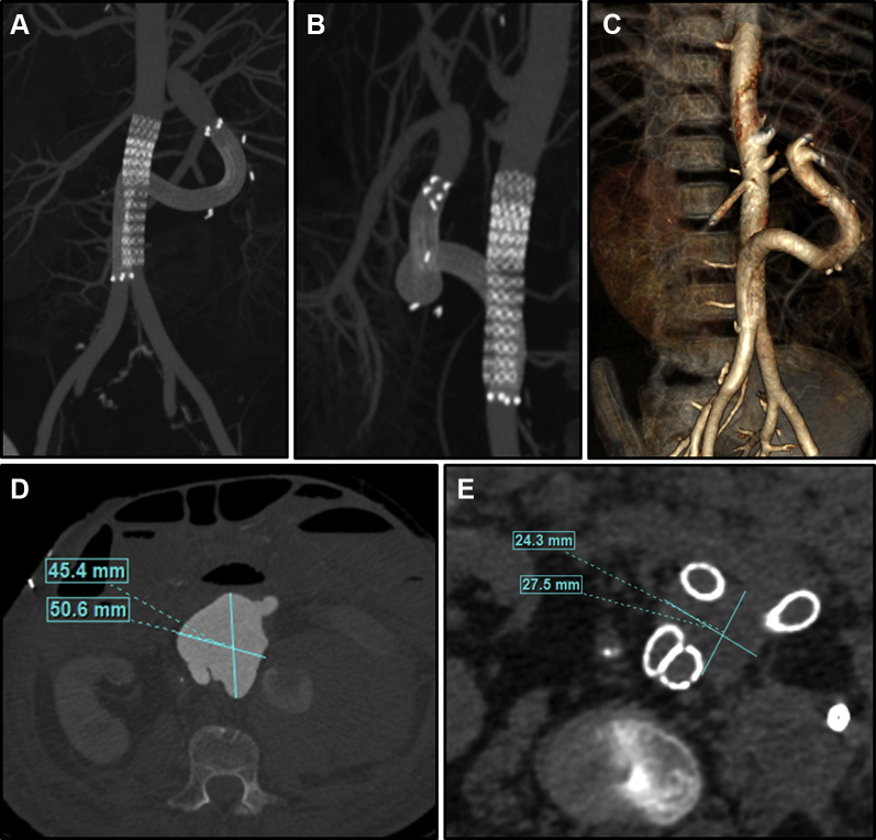 Fig 3