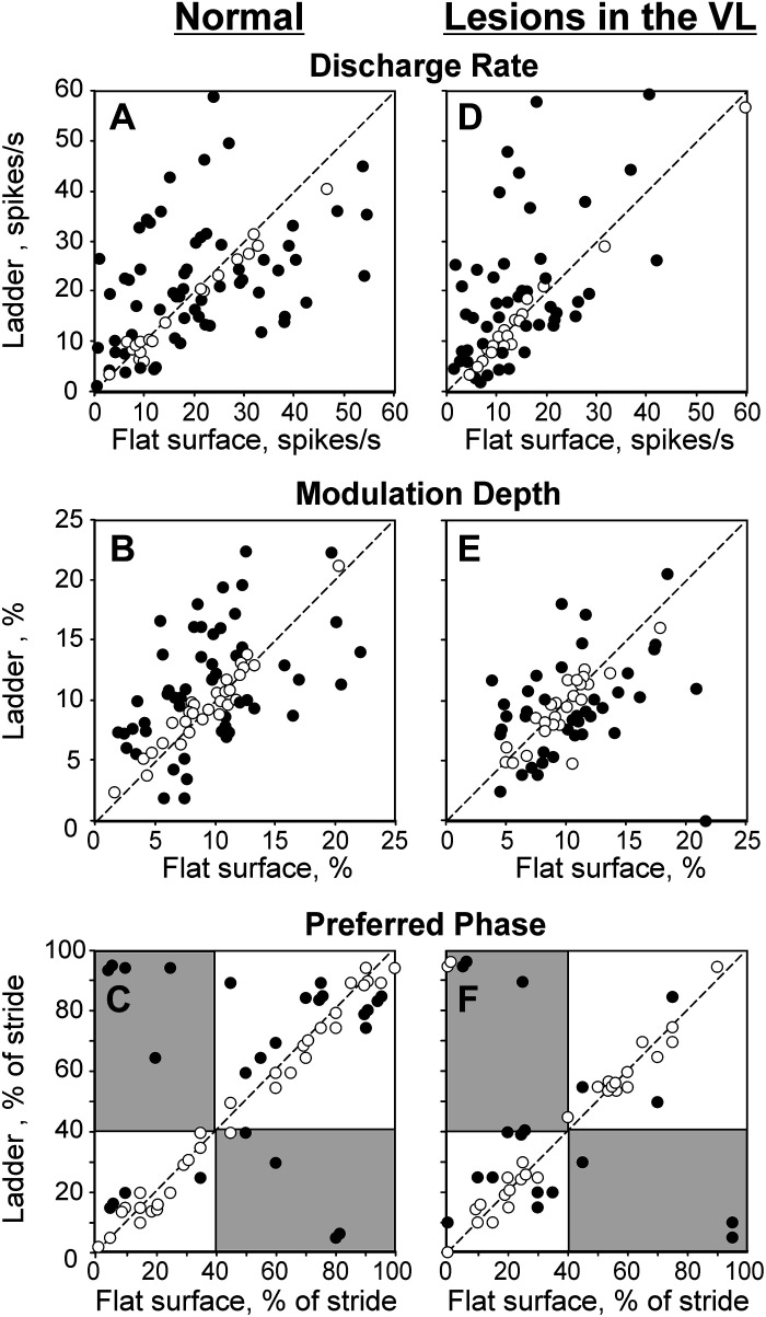 Figure 11.