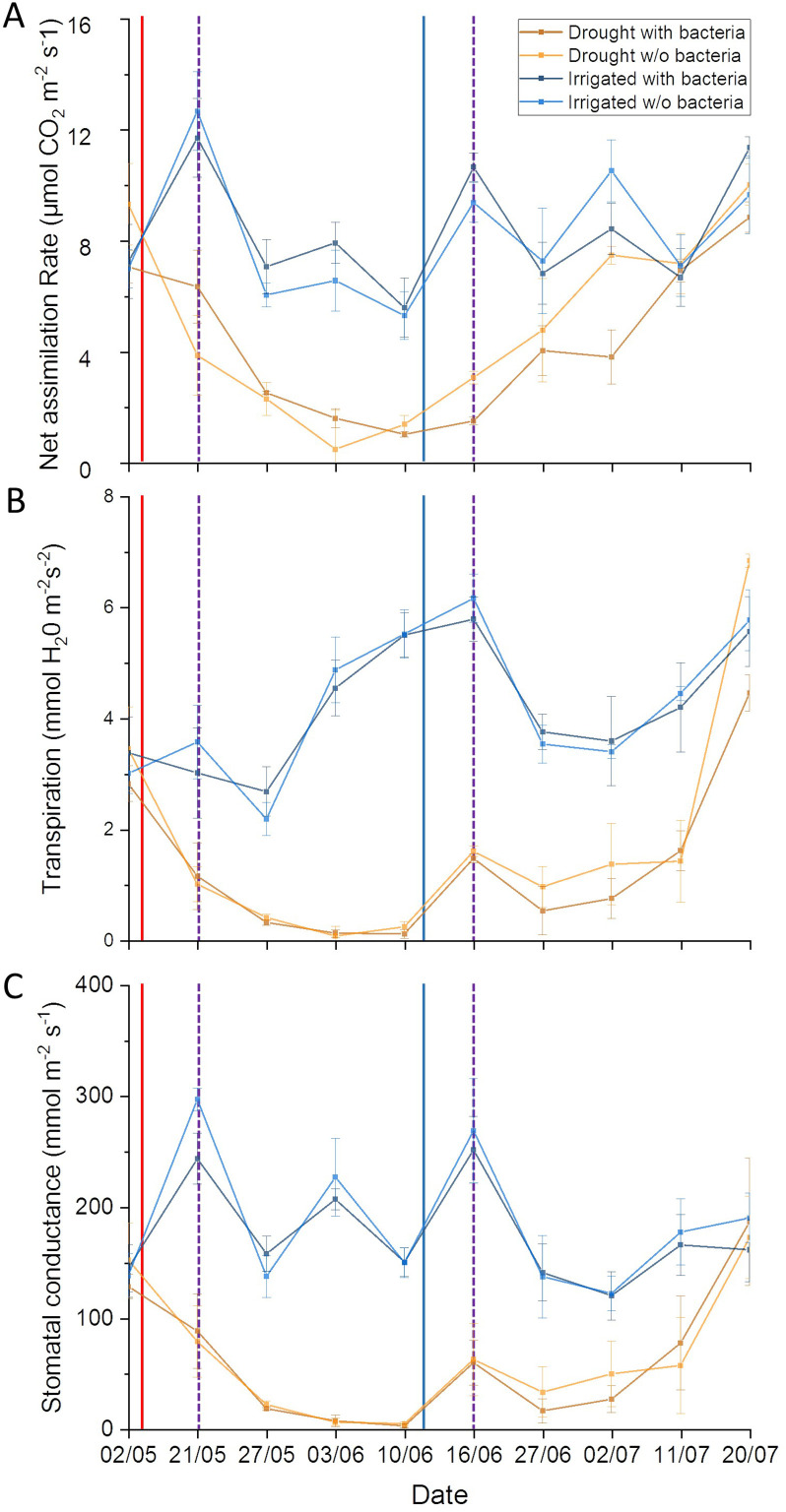 Figure 2—figure supplement 1.