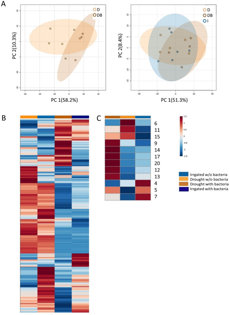 Figure 3—figure supplement 1.