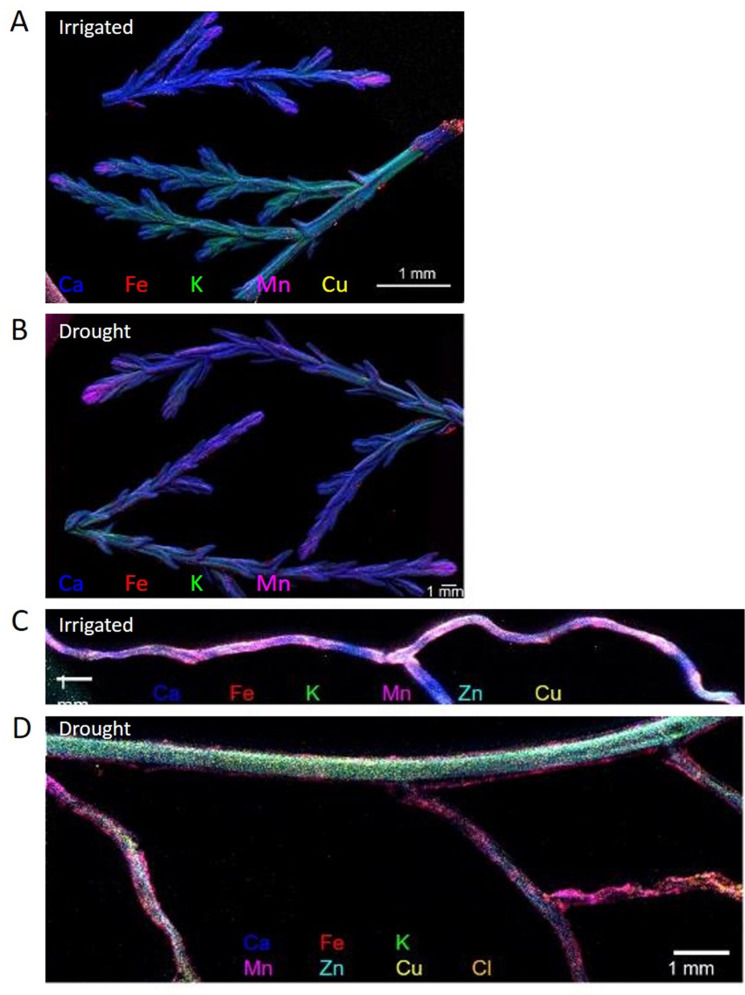 Figure 6.