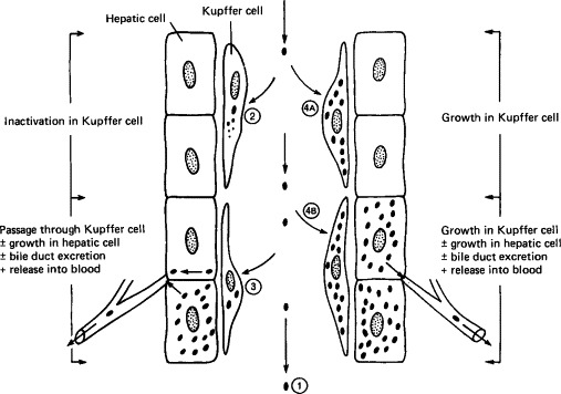 FIG. 7-4