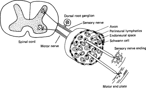 FIG. 7-6