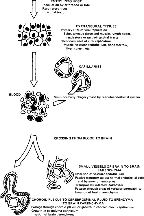 FIG. 7-5