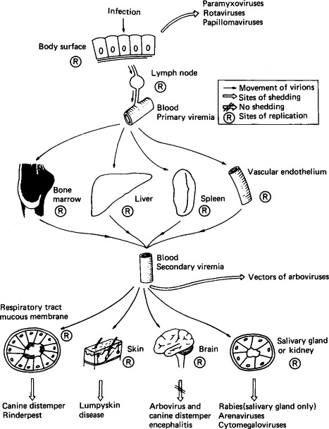 FIG. 7-3