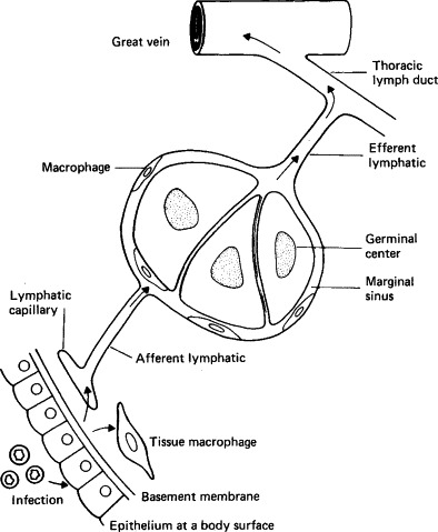 FIG. 7-2