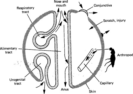 FIG. 7-1