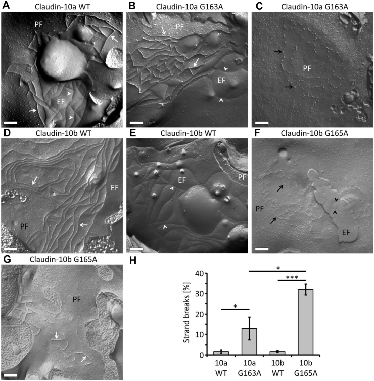 Figure 6