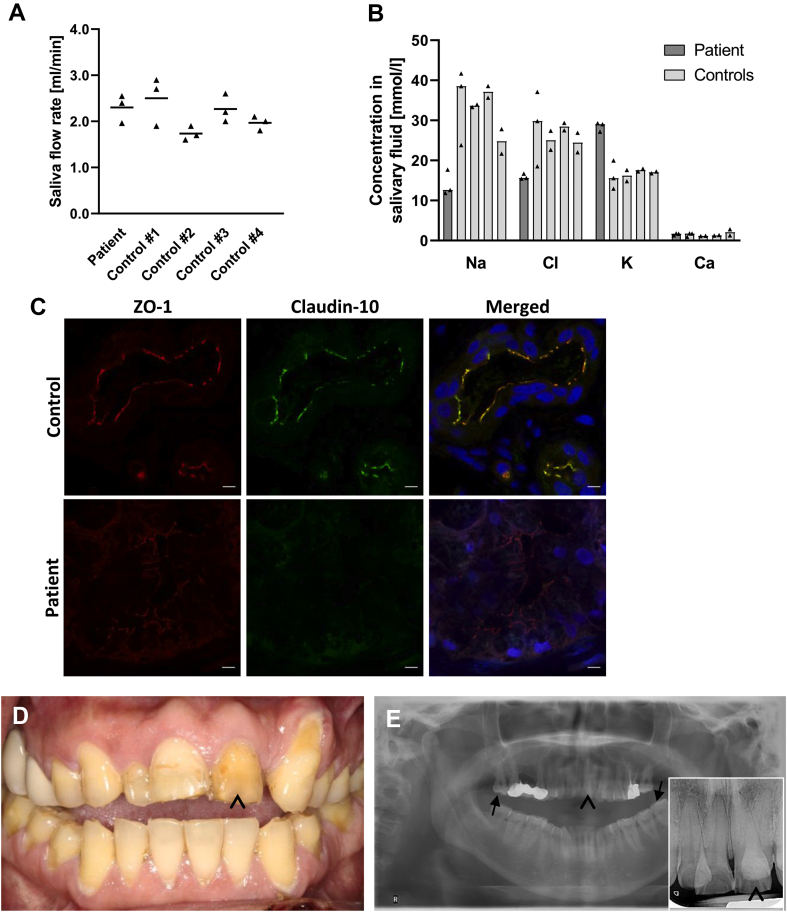 Figure 2