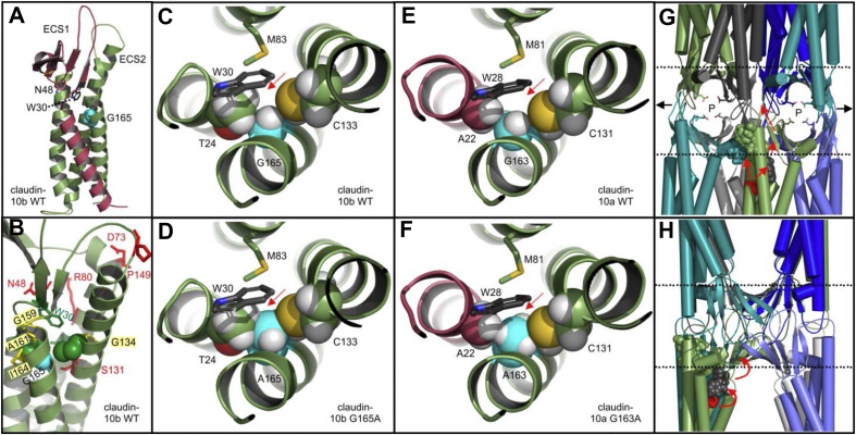 Figure 4