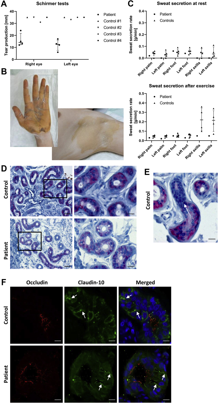 Figure 3