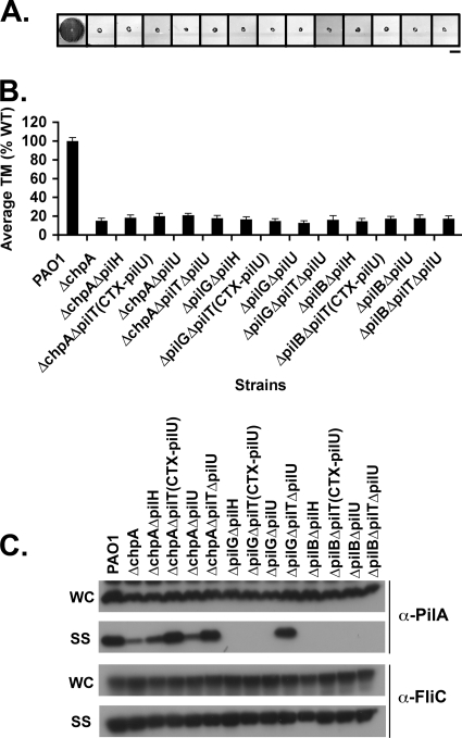 FIG. 4.