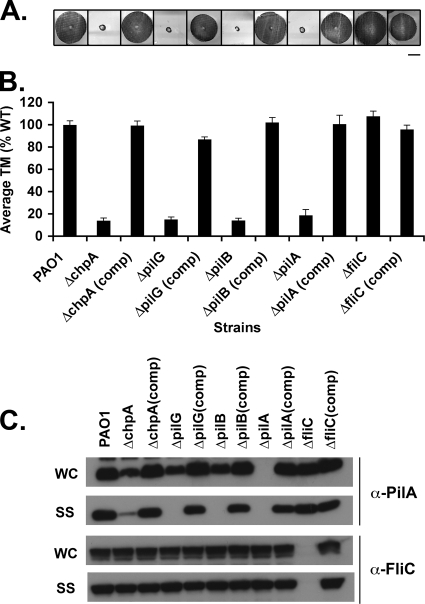 FIG. 2.