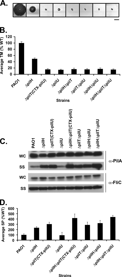 FIG. 5.