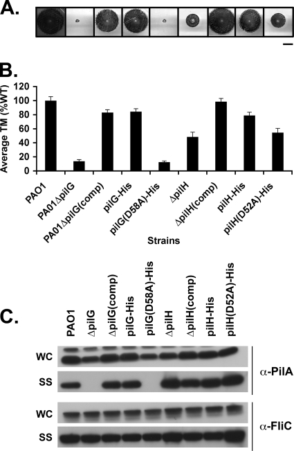 FIG. 6.