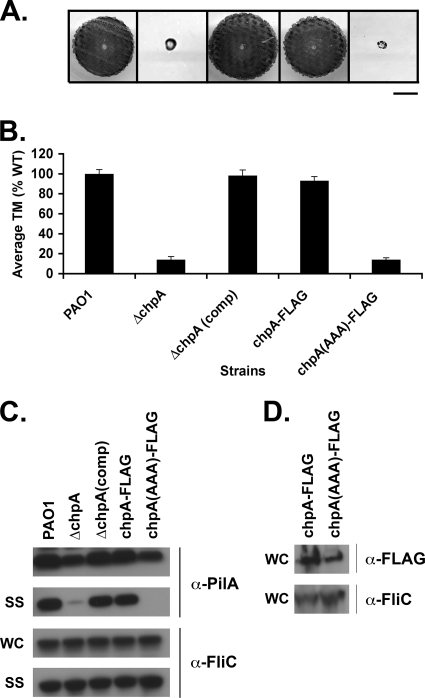 FIG. 7.