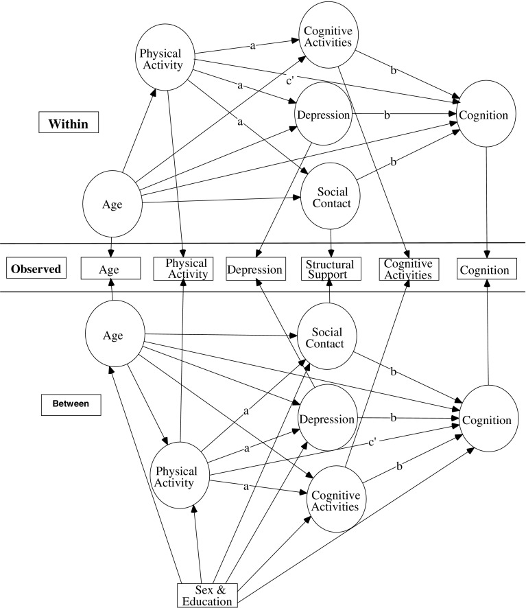 Fig. 1