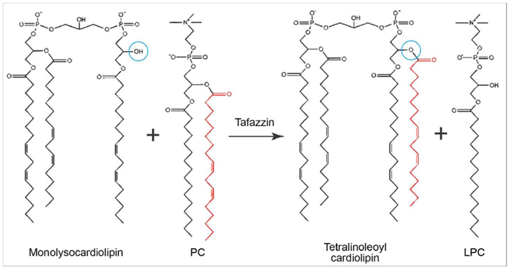 Figure 3.