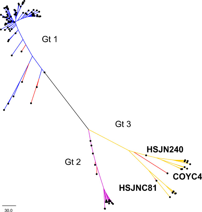 Figure 3—figure supplement 2.