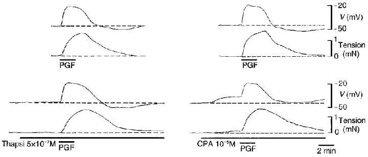 Figure 8